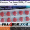 Kamagra Oral Jalea 100Mg Cómo Usar 18